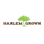 Harlem-Grown