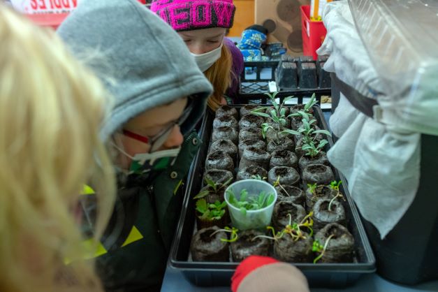 Students inspecting seedlings in tray