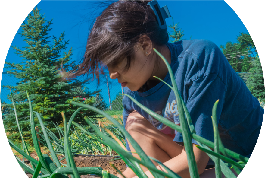 Cheyenne River – Teen kneeling in a row of onions