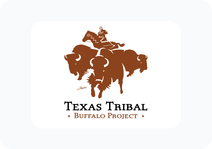 Texas Tribal Buffalo
