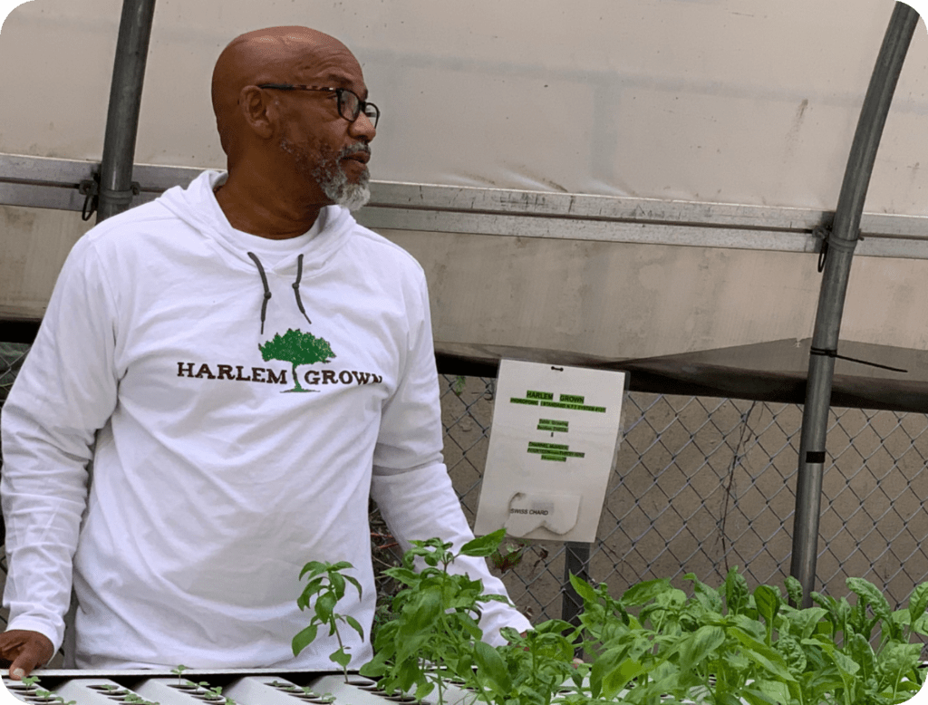 Tony Hillery standing in front of table of seedlings