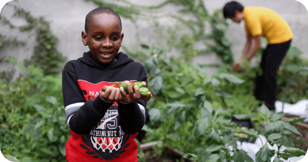 Boy in garden with handful of veggies