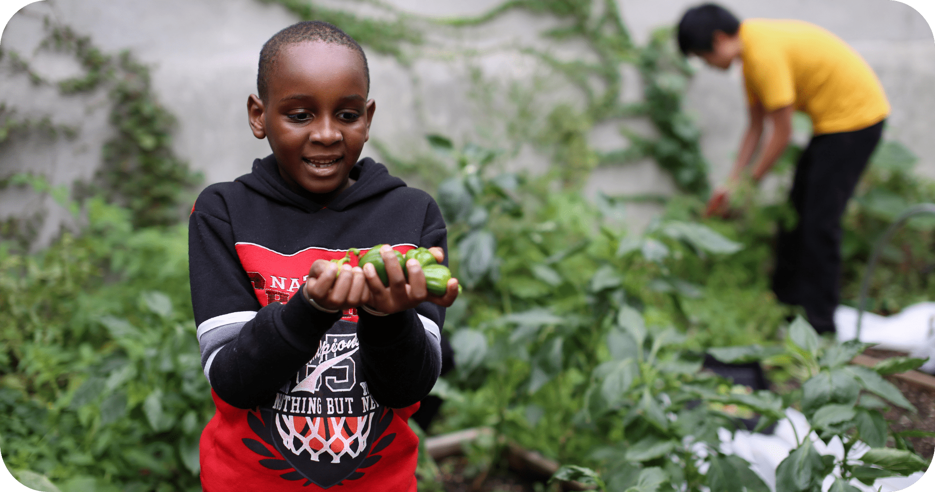 Boy in garden with handful of veggies