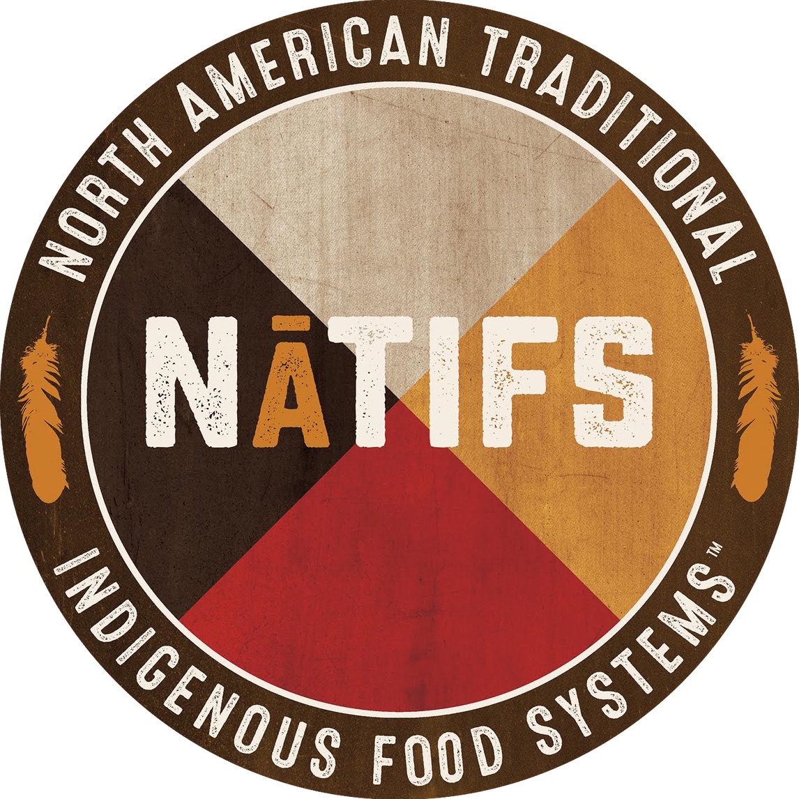 NATIFS logo