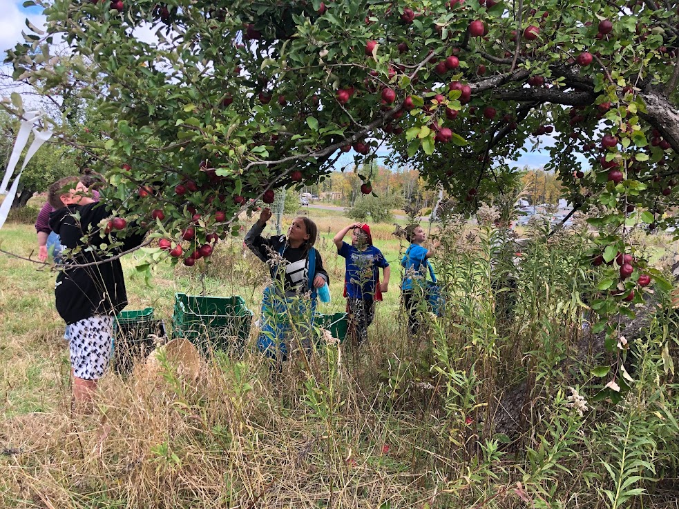MinoBimaadiziiwinIMG_3125 Kids picking apples