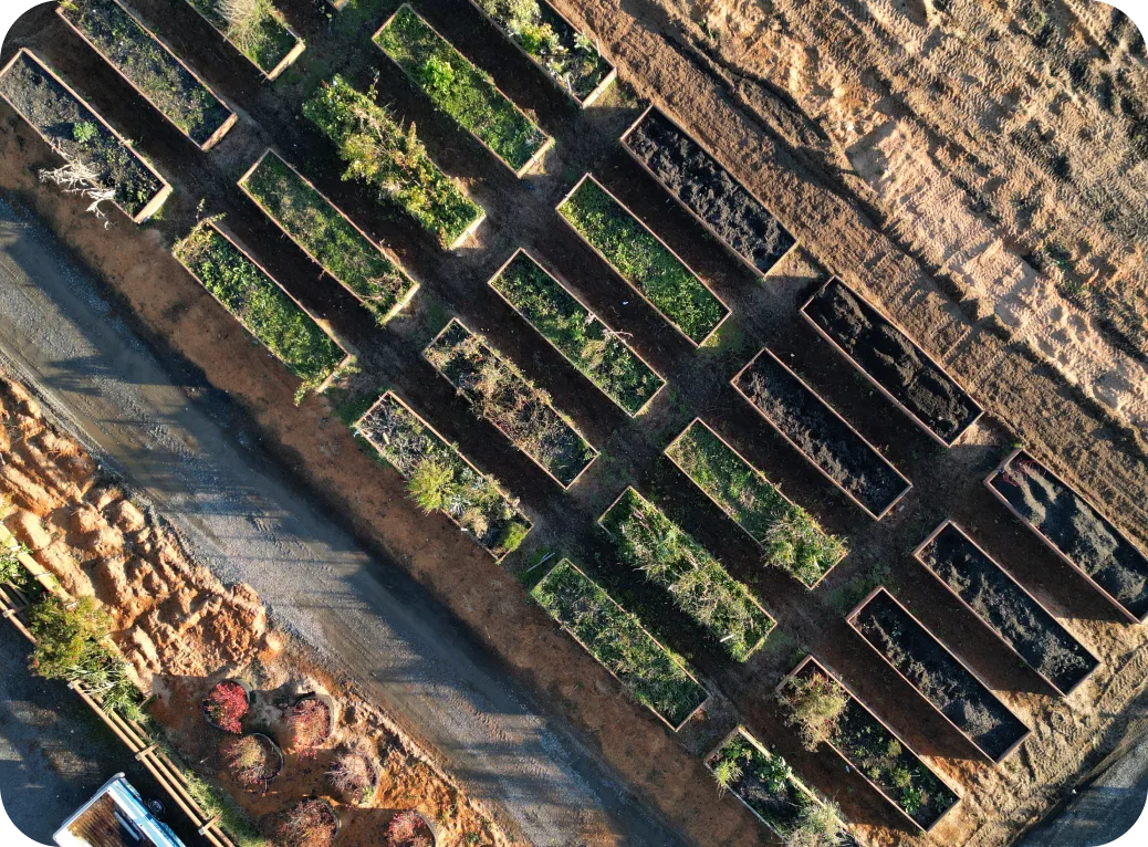 Garden beds seen from overhead.