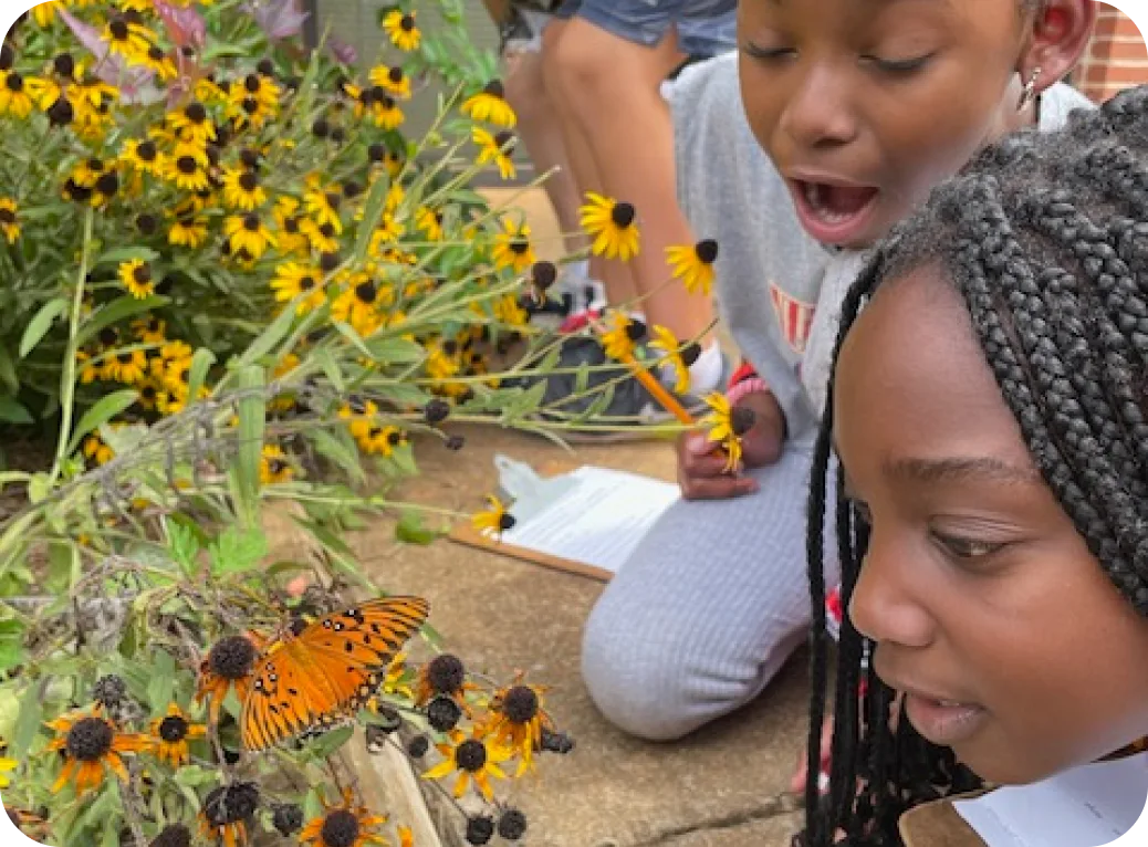 Children look excitedly at a butterfly on a flowering perennial.
