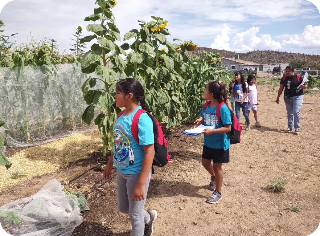 Children walk near tall sunflowers.