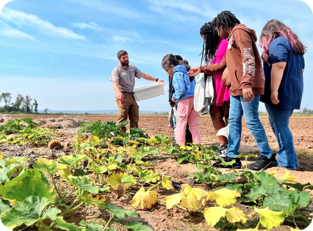 A farmer leads children on a walk in the squash fields.