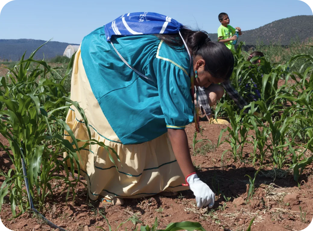 A person bends to touch a plant in the earth.