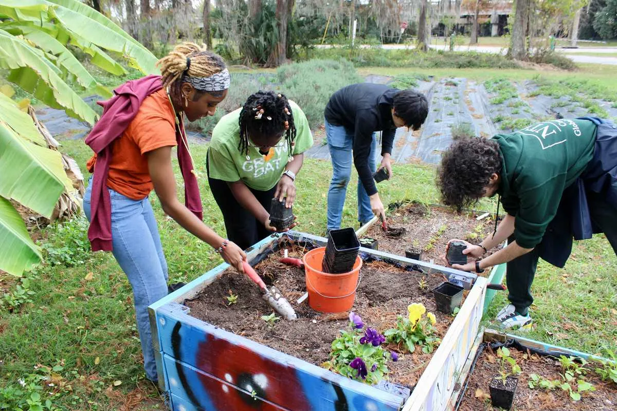 A group of youth gardening in a raised bed.