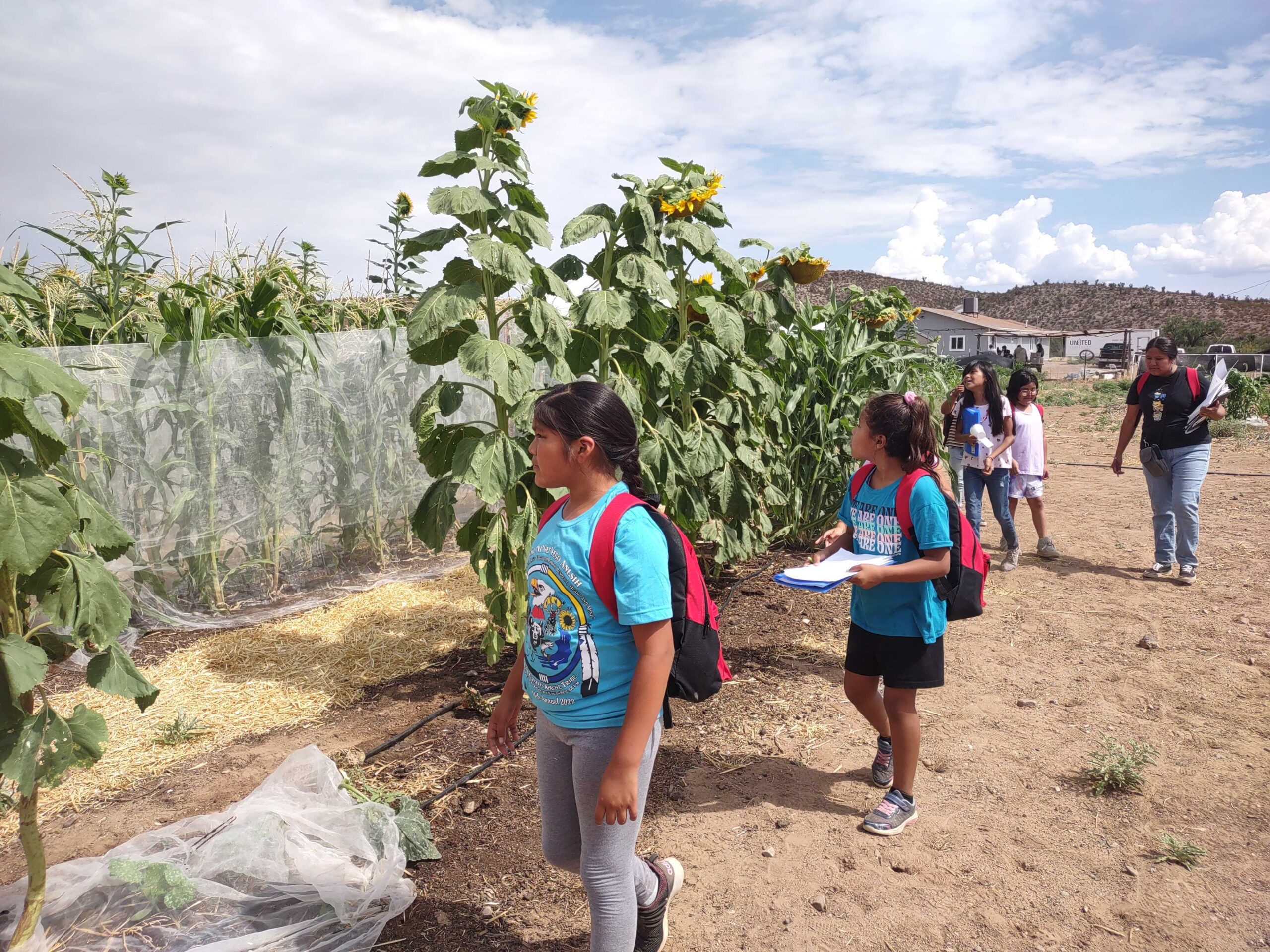 An Inclusive Approach to Measuring Impact: 5 Tips for Nonprofits and Tribes