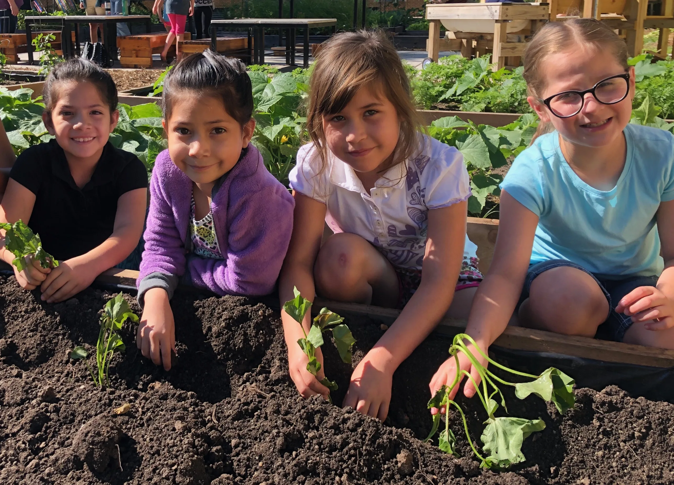Children smiling in a garden
