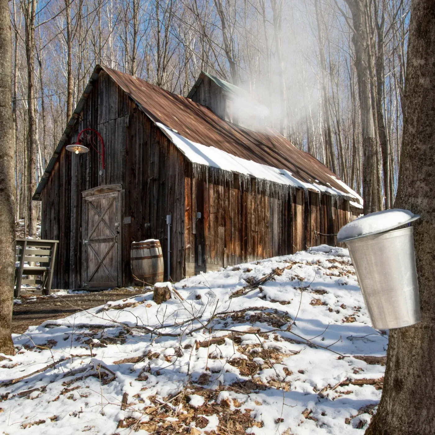 Maple sugar shack